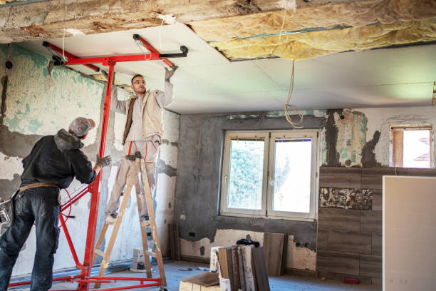 Best Cellulose Insulation in Mcelhattan, PA