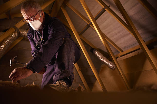 Best DIY Insulation Kits and Guidance in Mcelhattan, PA